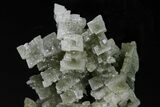 Skeletal Halite Crystals with Tolbachite - Poland #175419-4